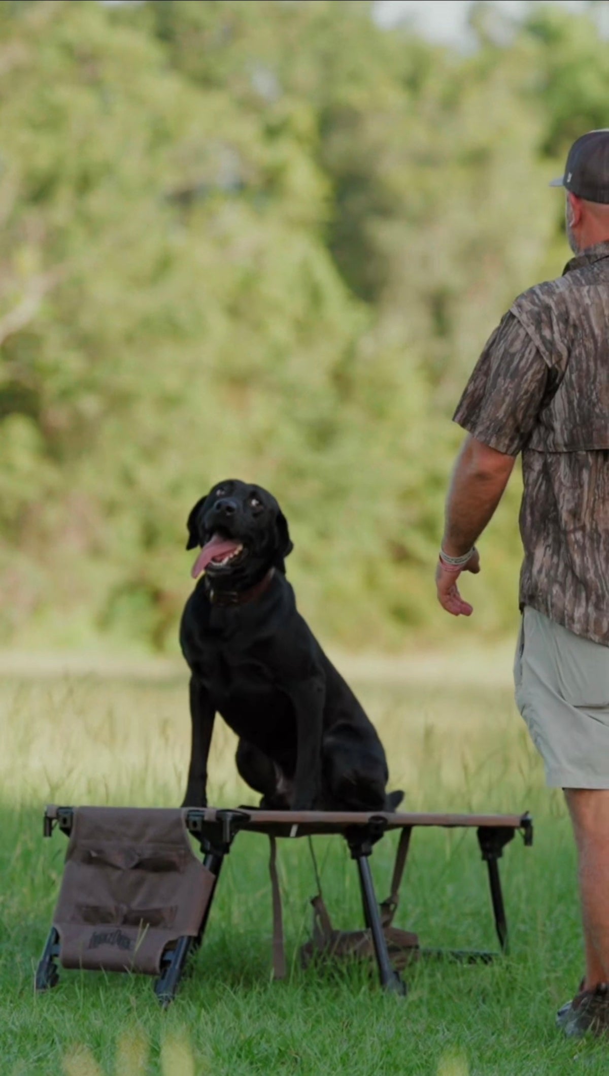 Lucky Duck x Mossy Pond HexStand