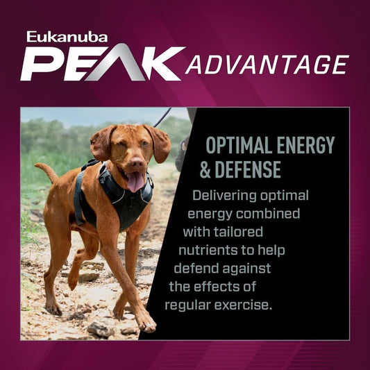 Eukanuba Premium Performance Dog Food