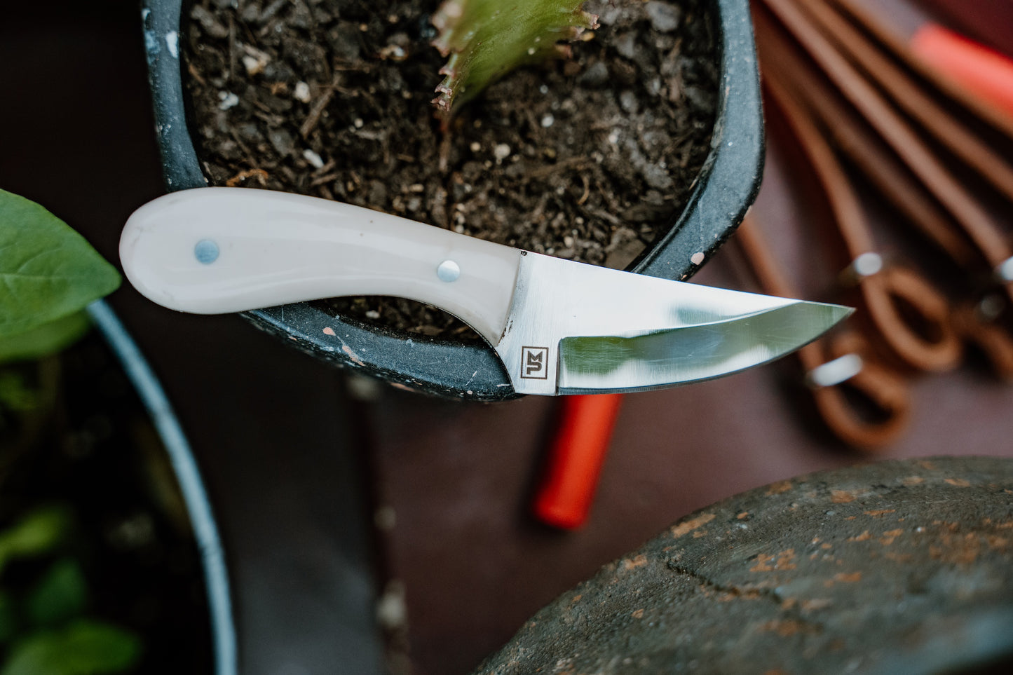Medium Knife