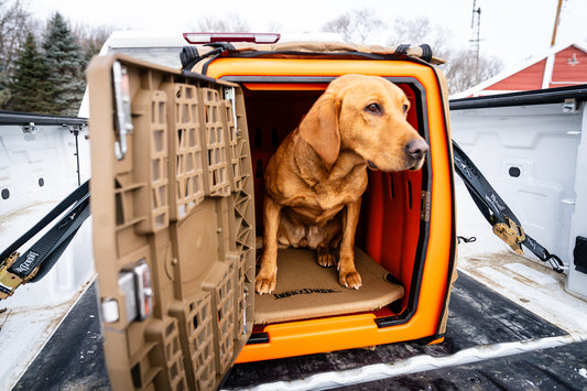 Lucky Duck Kennel Cot
