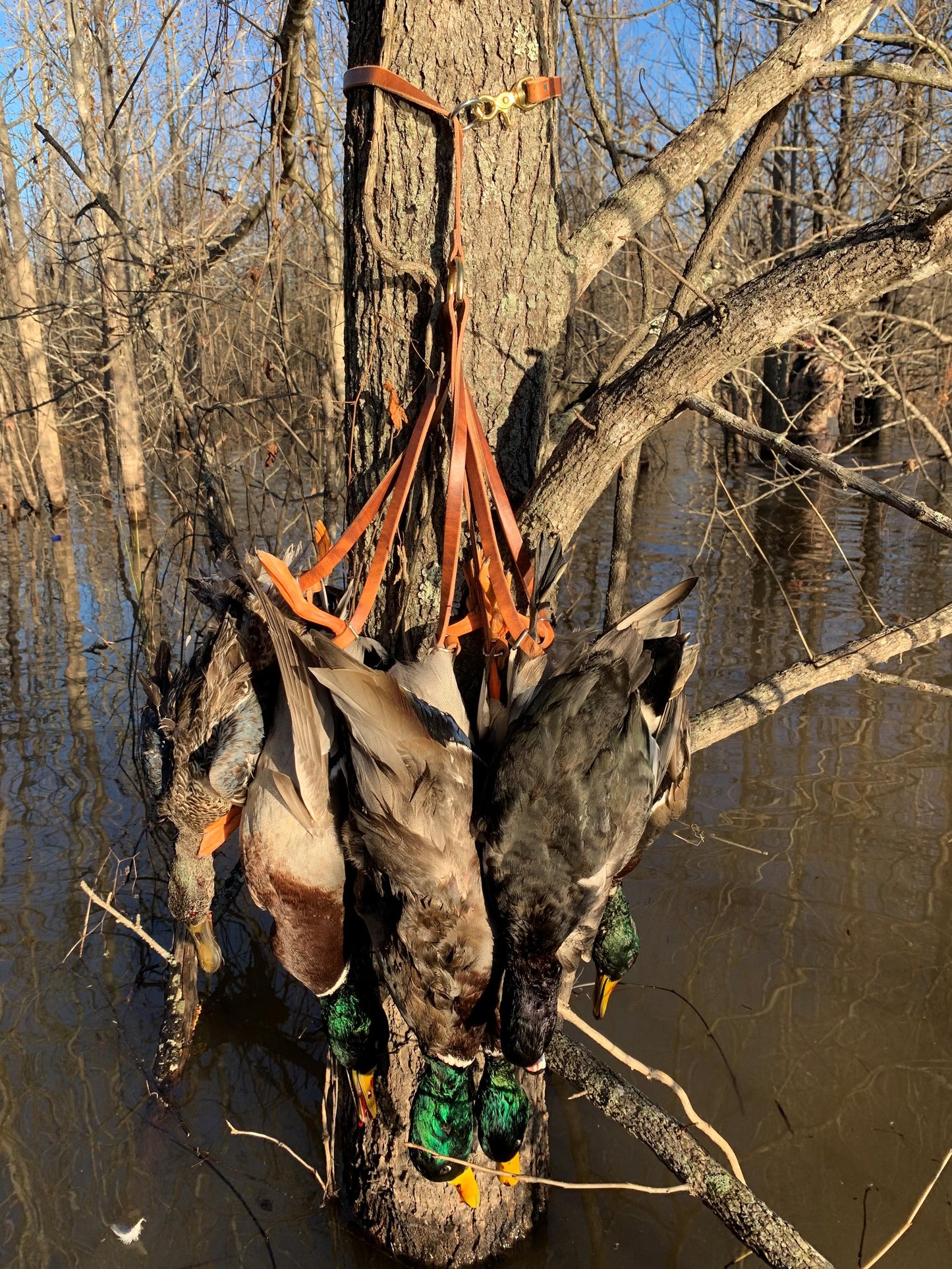 MP Duck Tote : Cowboy