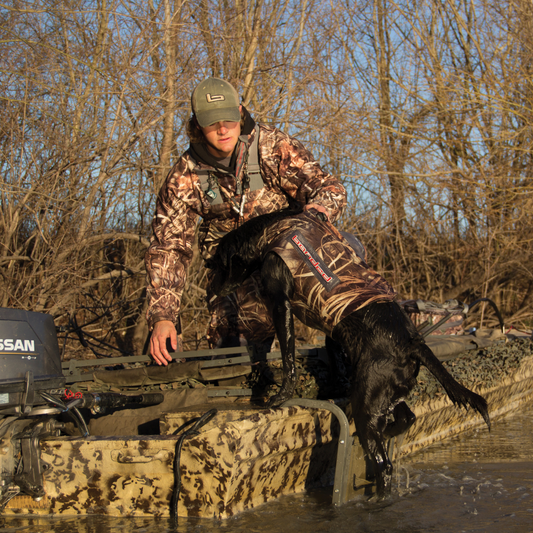 asd dog ramp for boat