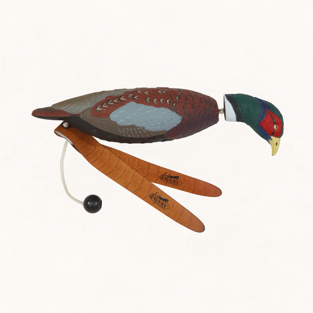 retriever training pheasant
