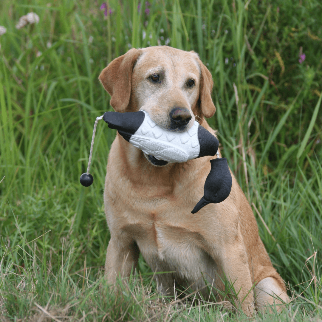 EZ Bird Trainer for Retrievers - 4 Types