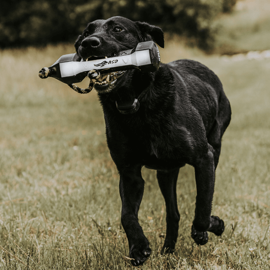 PerfectHold HexaBumper - 3 Colors