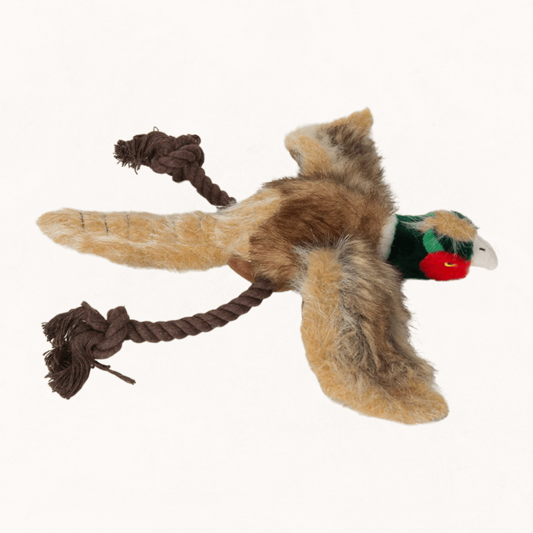 pheasant dog toy