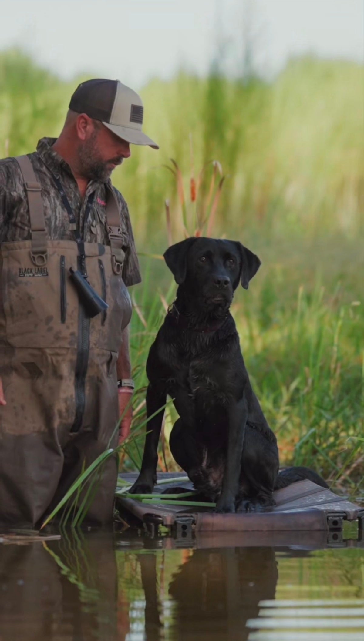Lucky Duck x Mossy Pond HexStand