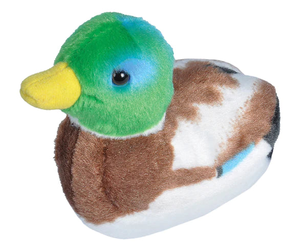 Mallard Stuffed Animal