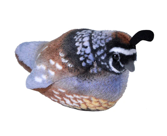 Quail Stuffed Animal with Sound