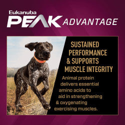 Eukanuba Premium Performance Dog Food