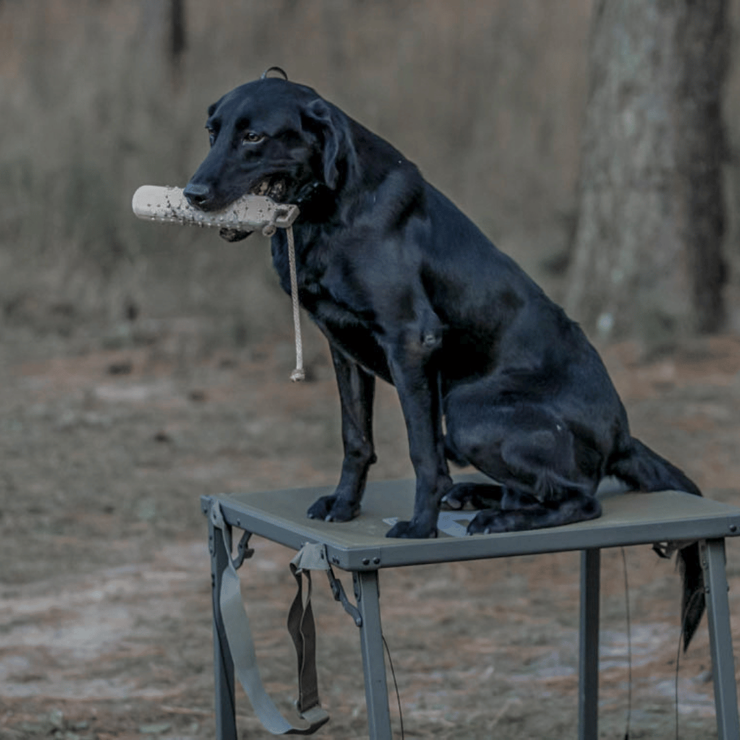 Hybrid Slough Dog Stand